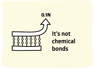 Adhesion Science Chemical Bonds are not so strong 