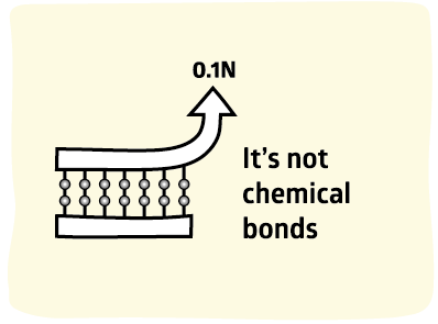 Adhesion Science Chemical Bonds are not so strong