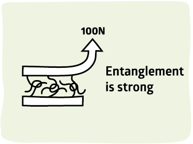 Adhesion Science Entanglement is Strong