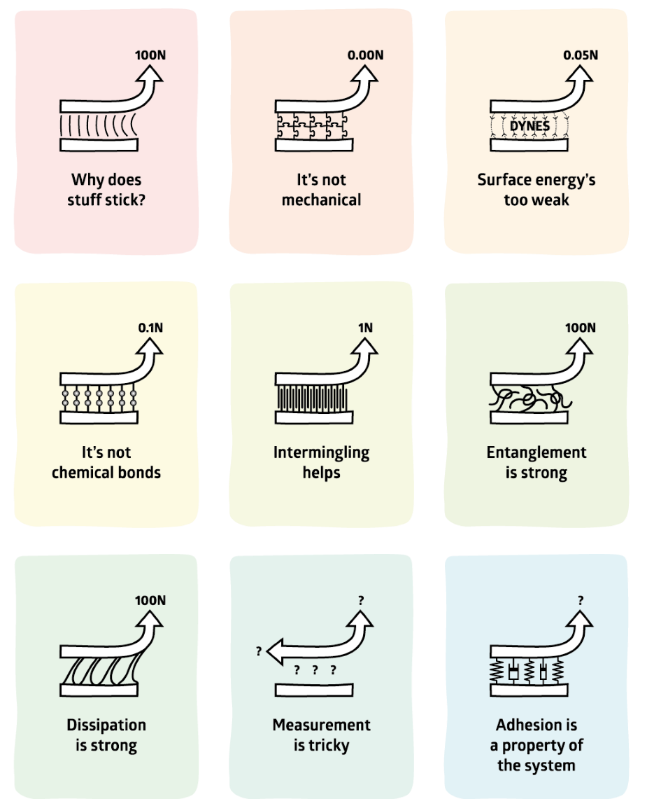 Adhesion Science in 9 Images