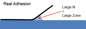 Adhesion Science Entanglement is Strong