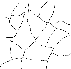 Mud-Cracks