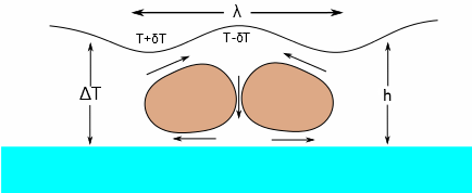 The Marangoni number