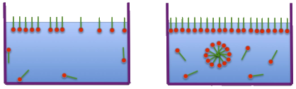 Surfactant Science Critical Micelle Concentration CMC