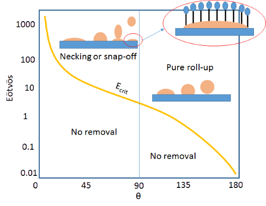 Eötvös Number Roll-up Emulsion Cleaning