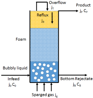 Surfactant Science Foam Fractionation Internal