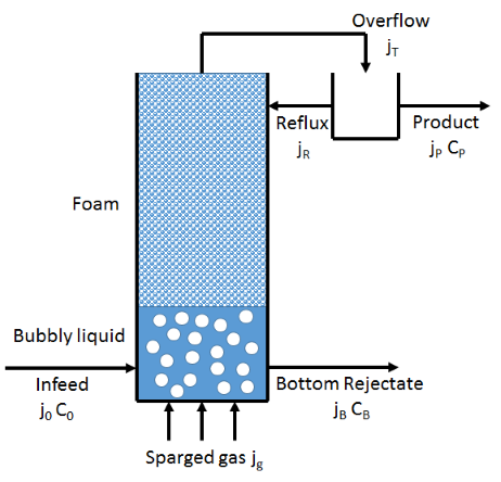 Surfactant Science Foam Fractionation