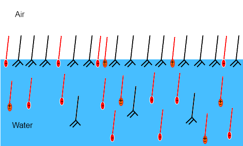 Foam elasticity