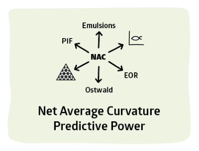 Surfactant Science Emulsion Net Average Curvature